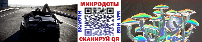 где купить наркоту  Пионерский  Псилоцибиновые грибы GOLDEN TEACHER 
